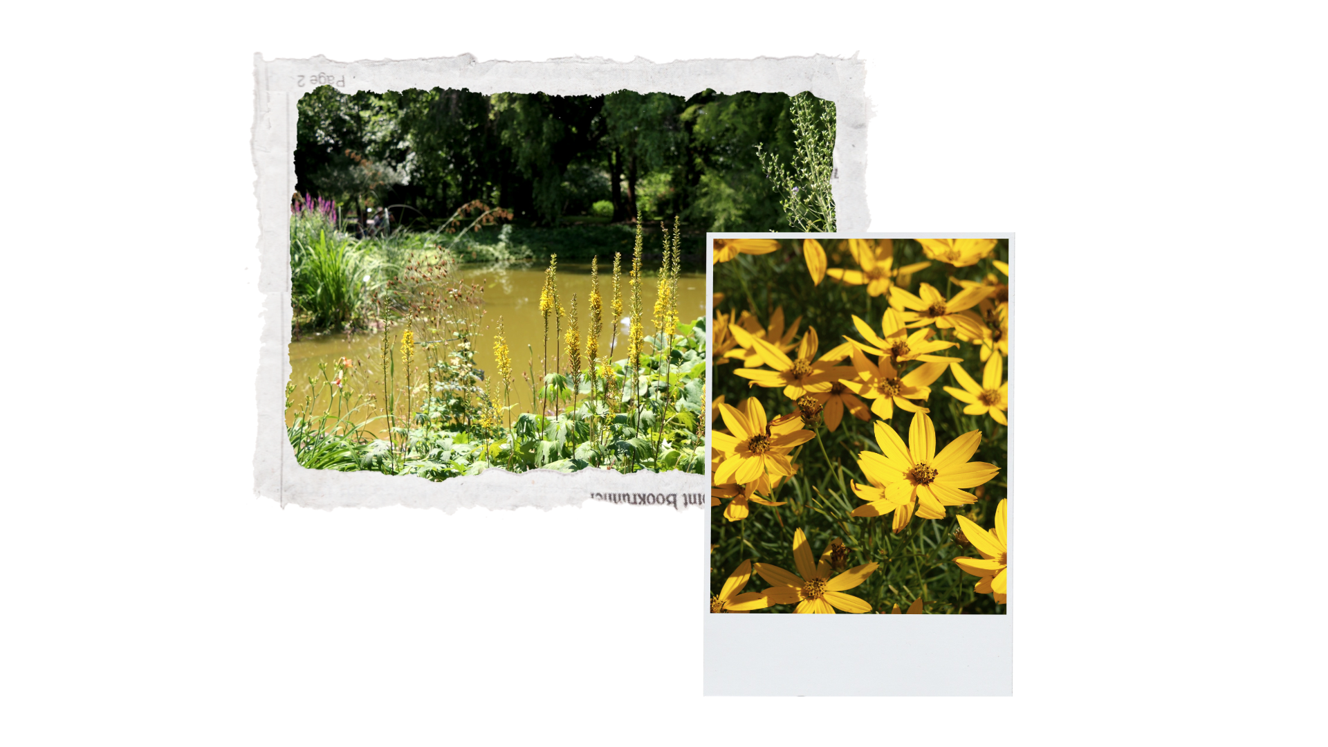 Botanical Garden
