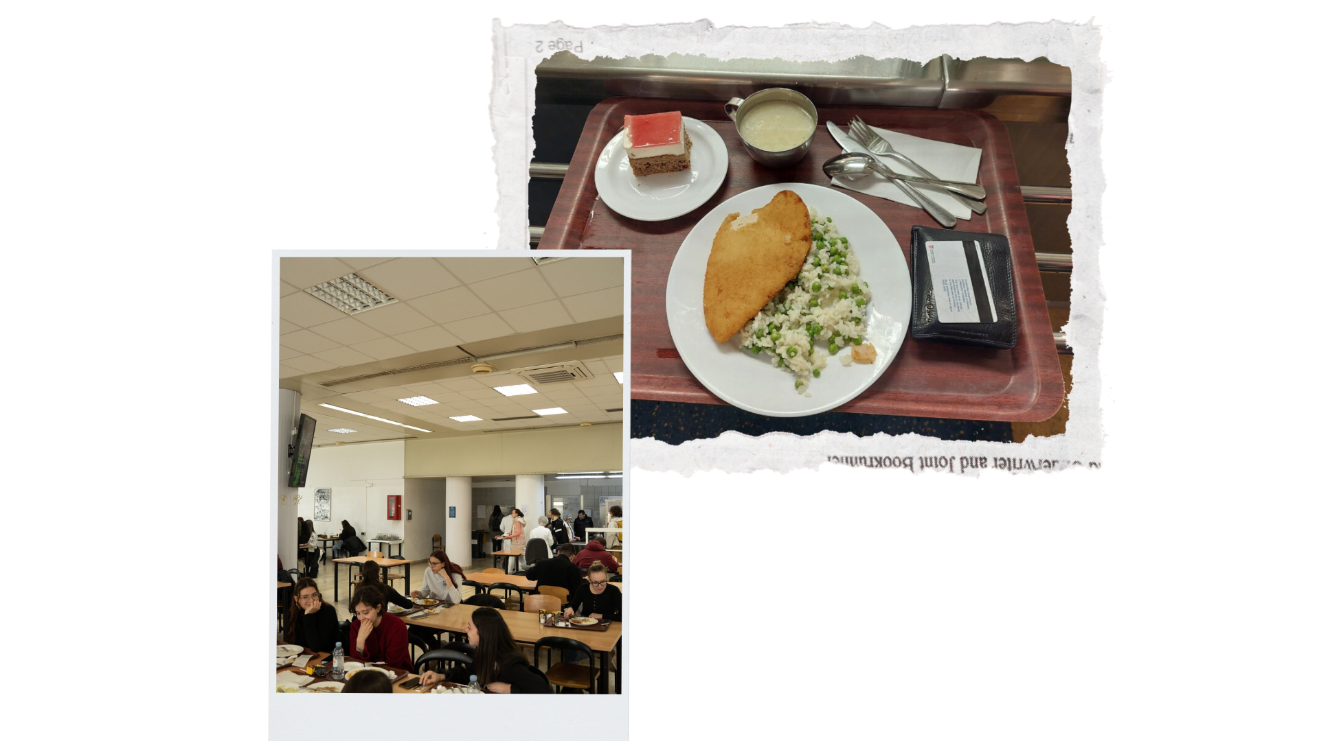 mensa and meal example
